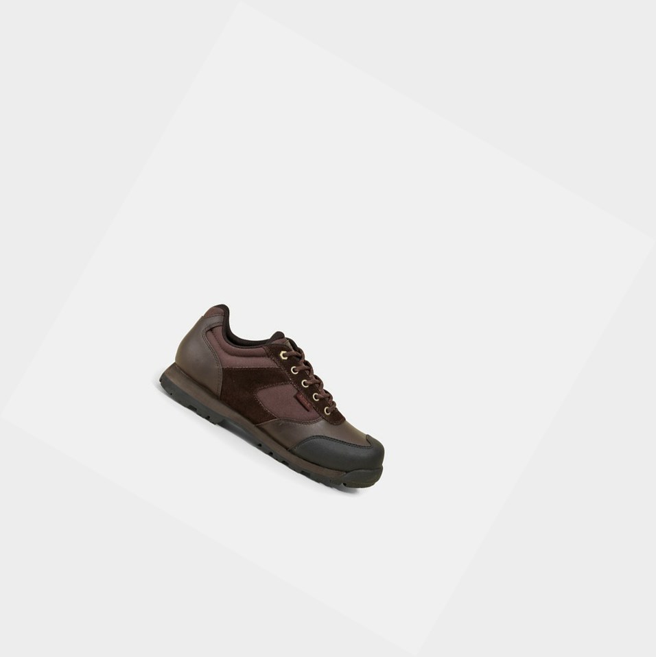 Aigle All-terrain Scarpe Lavoro Uomo Marroni | TGL-963748