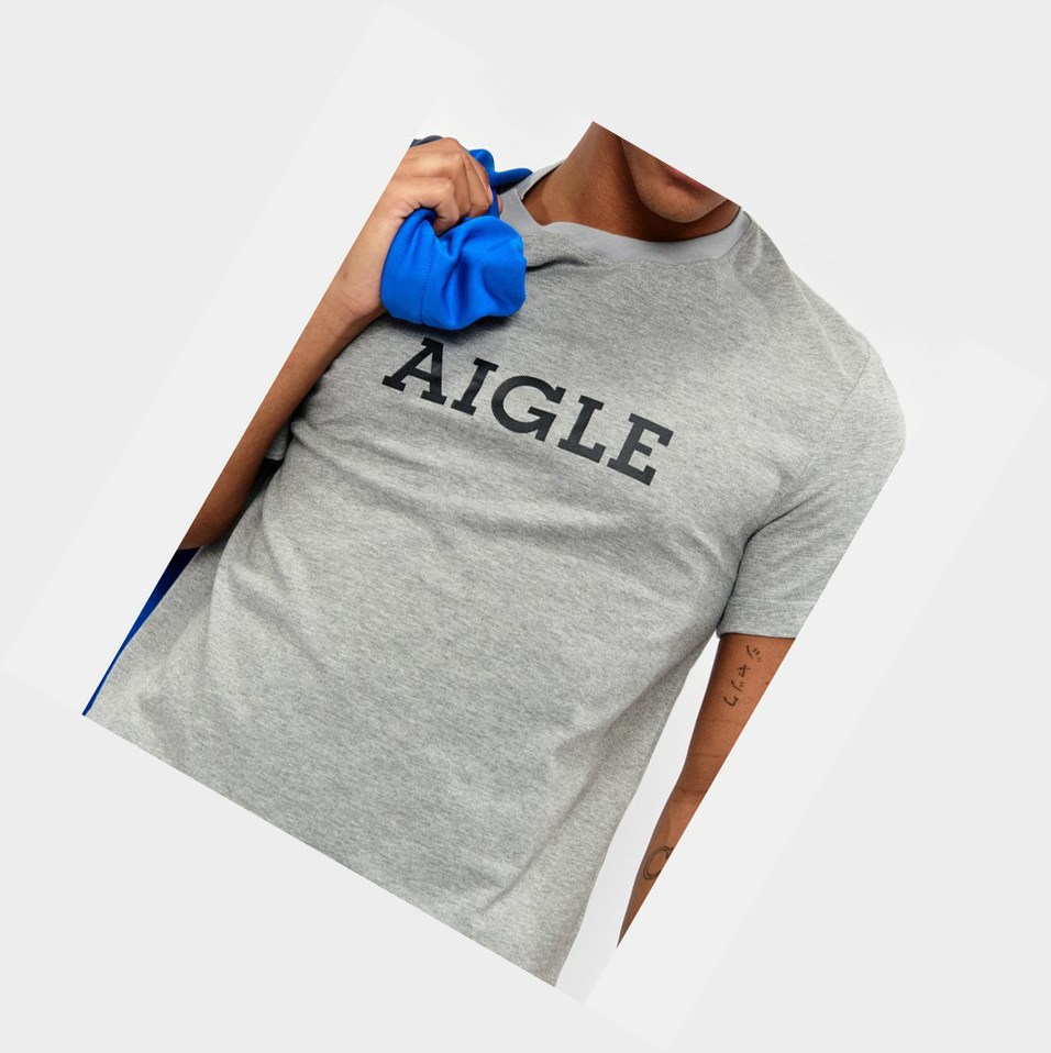 Aigle Technical Magliette Uomo Grigie | YGK-068194